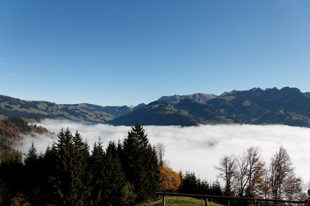 20081026_065